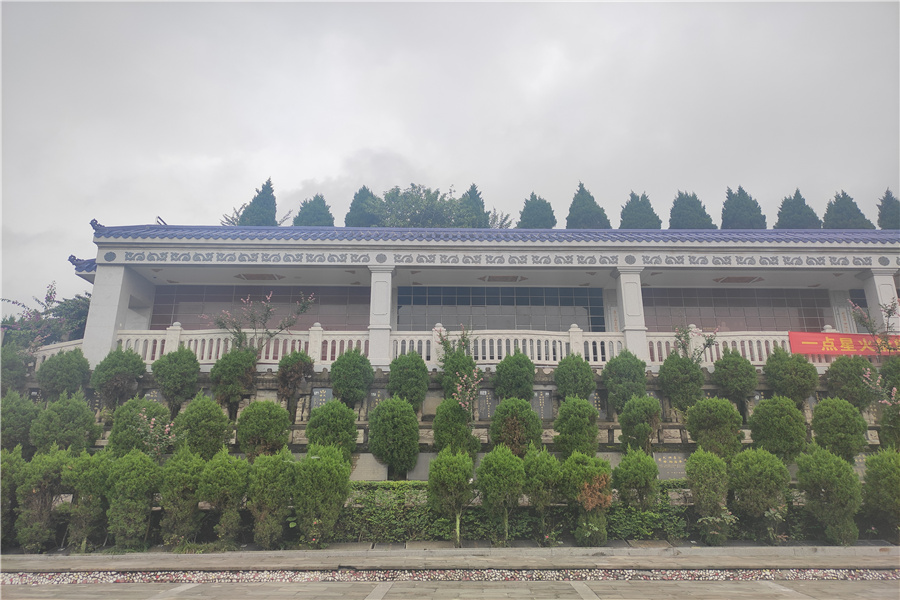 1-210P2163604-51