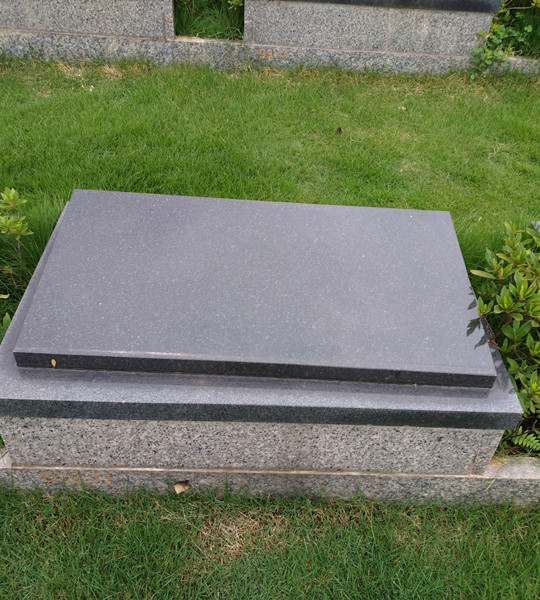 1-210P413361V19
